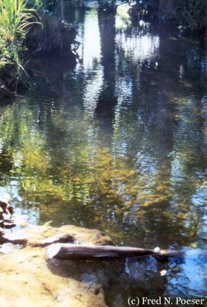 Las Aguas de Moisés