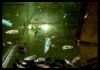 6 hetes Betta ivadékokJG_UPLOAD_IMAGENAME_SEPARATOR2