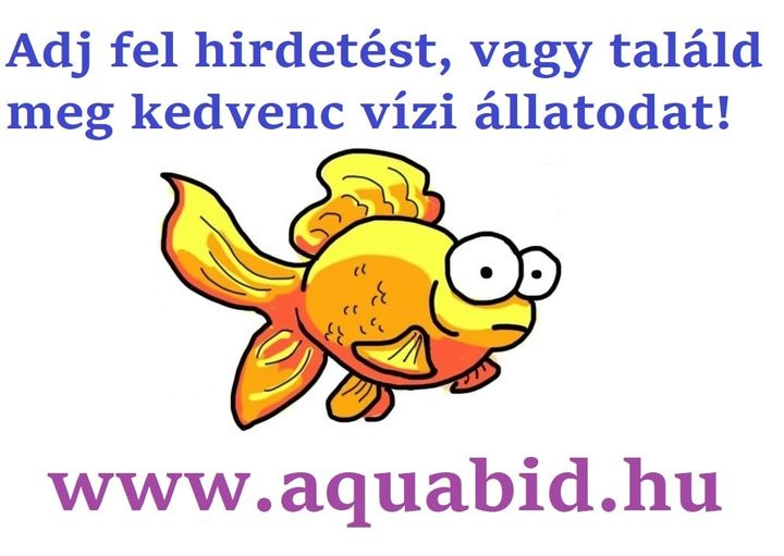 www.aquabid.hu